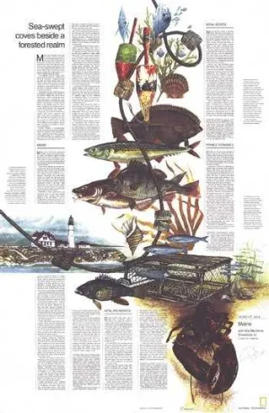 Close-up USA, Maine Theme (1975) Vintage Map by National Geographic
