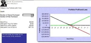 Short Selling Strategies Guide Plus MS Excel Software